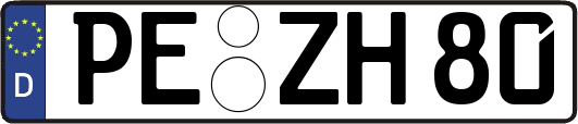 PE-ZH80