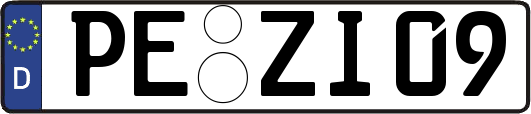 PE-ZI09