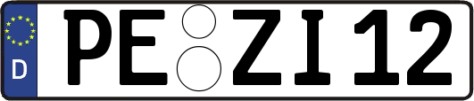 PE-ZI12