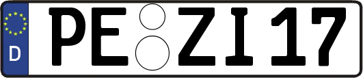 PE-ZI17