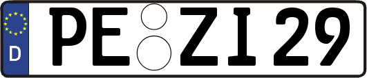 PE-ZI29