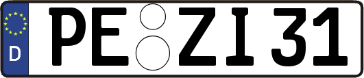 PE-ZI31