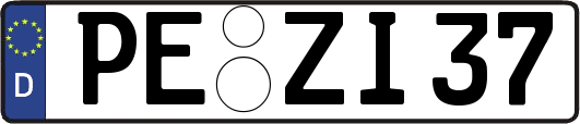 PE-ZI37
