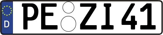 PE-ZI41