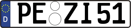 PE-ZI51