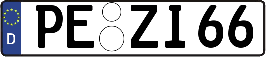 PE-ZI66