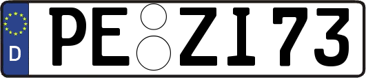 PE-ZI73