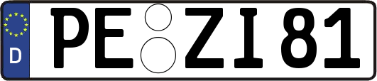 PE-ZI81