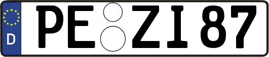 PE-ZI87