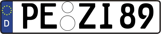 PE-ZI89