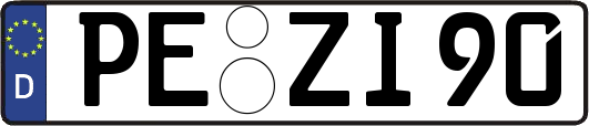 PE-ZI90