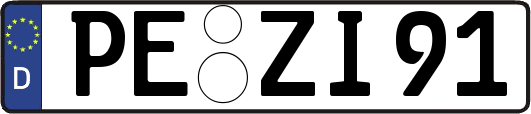 PE-ZI91