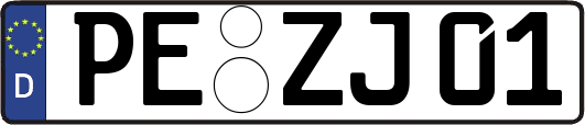 PE-ZJ01