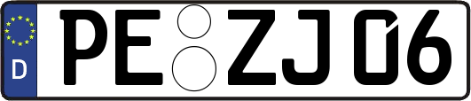 PE-ZJ06