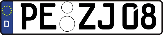 PE-ZJ08