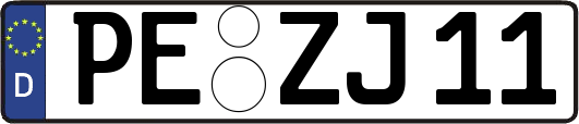 PE-ZJ11