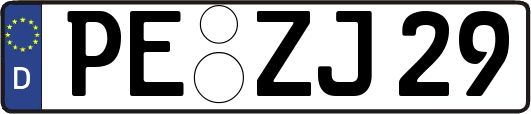 PE-ZJ29