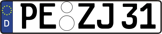 PE-ZJ31