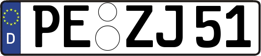 PE-ZJ51