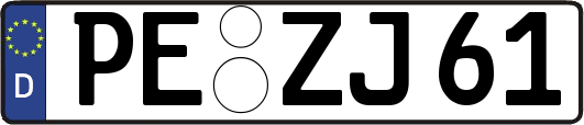 PE-ZJ61