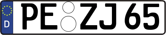 PE-ZJ65