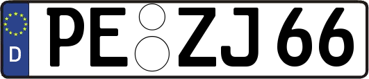 PE-ZJ66