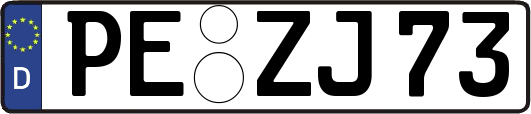 PE-ZJ73