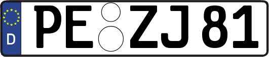 PE-ZJ81