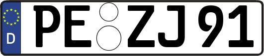 PE-ZJ91
