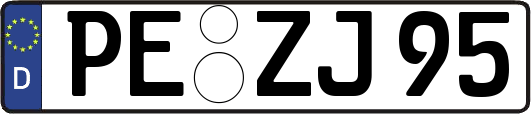 PE-ZJ95