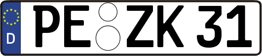 PE-ZK31
