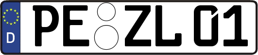 PE-ZL01
