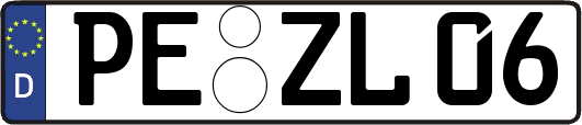 PE-ZL06