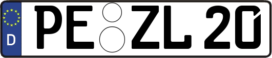 PE-ZL20
