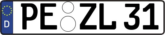 PE-ZL31