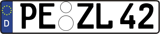 PE-ZL42