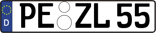 PE-ZL55