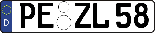 PE-ZL58