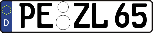 PE-ZL65