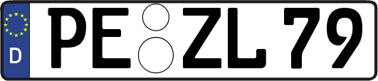 PE-ZL79