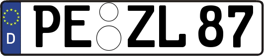 PE-ZL87