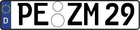 PE-ZM29