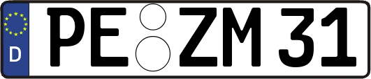 PE-ZM31
