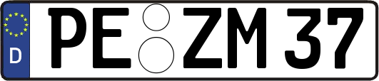 PE-ZM37