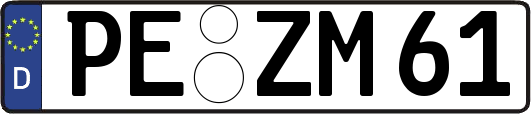 PE-ZM61