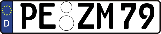 PE-ZM79