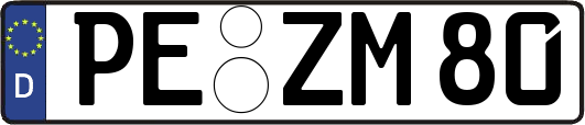 PE-ZM80