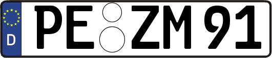 PE-ZM91