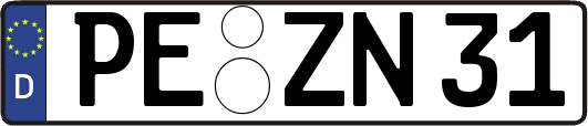 PE-ZN31