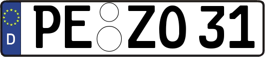 PE-ZO31